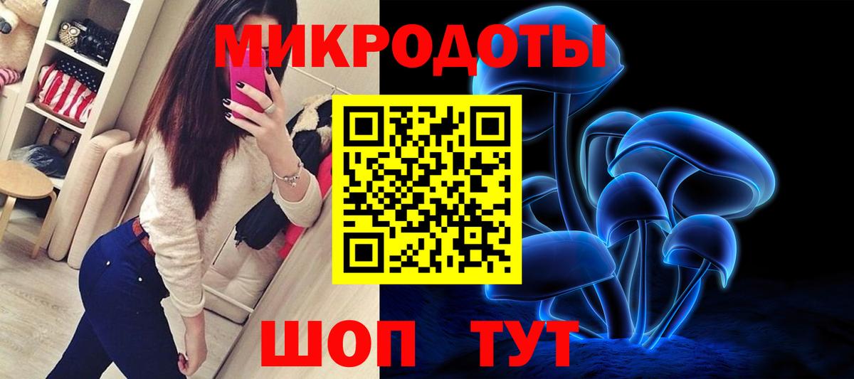 дарнет шоп  Вход с VPN  Новодвинск  Галлюциногенные грибы Psilocybe 