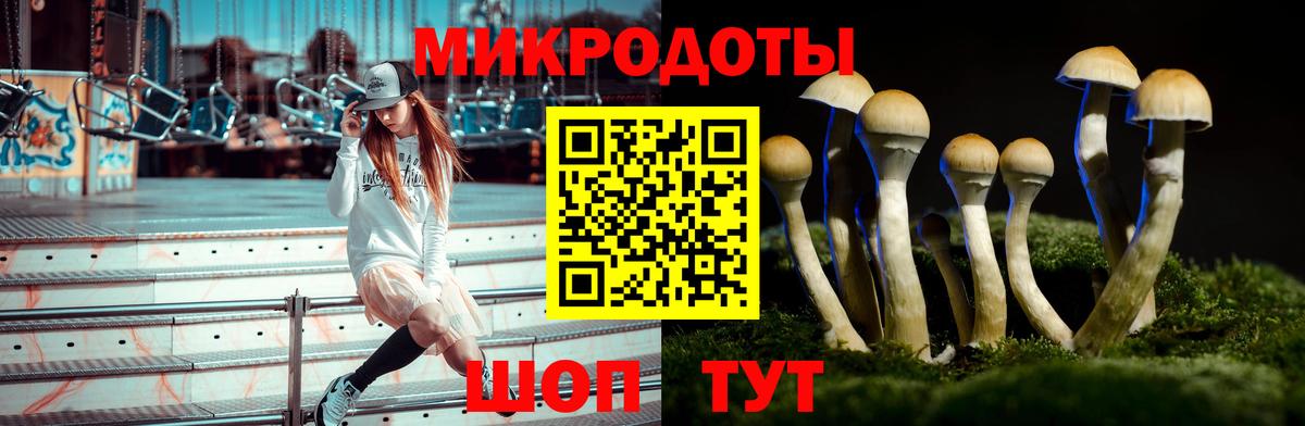 Псилоцибиновые грибы GOLDEN TEACHER Новодвинск